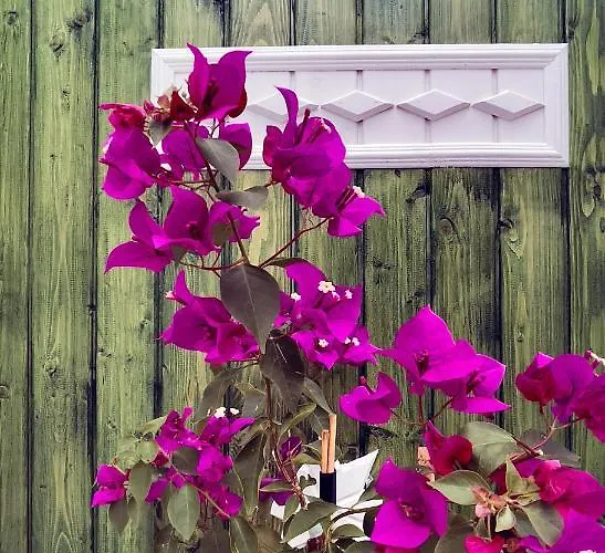 Beacon Hill Akyaka (Mugla)