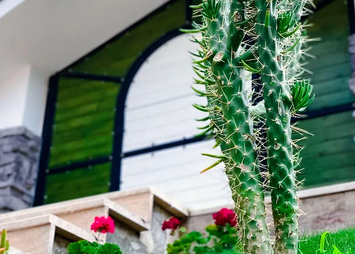 Beacon Hill * Akyaka (Mugla)